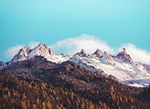 华体会——打造卓越体育娱乐平台