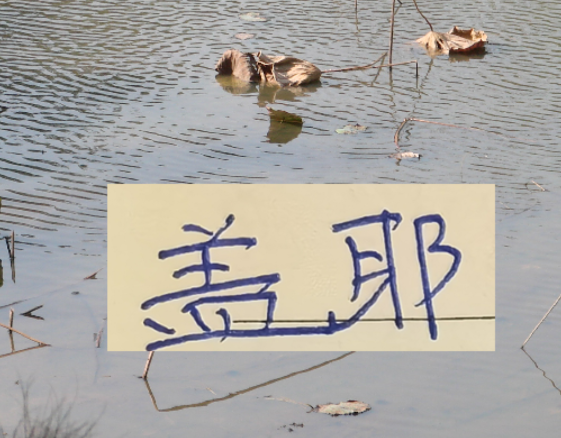 Kaiyun开云官方网站中国登录-像一堵墙的盖伊 会是申花的卢卡库 还是升级版马莱莱